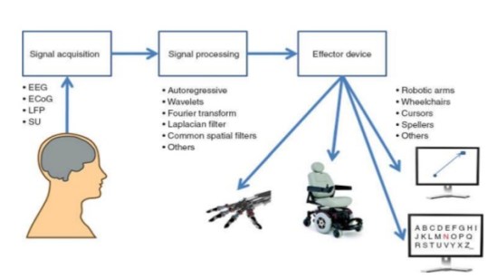 braincomputer-interfaces-ppt-7-638.jpg